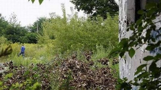 Bloki zamiast aquaparku przy ul. Koncertowej? \"Licytacja może być zacięta\"