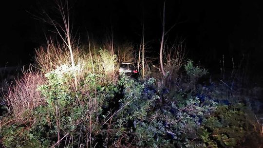 BMW w rowie. Kierowca ukrył się w zaroślach. Wiadomo dlaczego