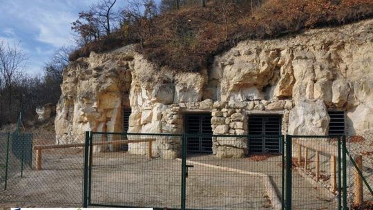 Bochotnica: Nietoperze w kamieniołomie mogą spać spokojnie