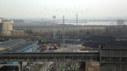 Bogdanka ma być częściowo zasilana prądem ze słońca. Energia z farmy fotowoltaicznej