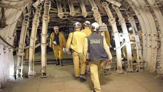 Bogdanka w Grupie Energetycznej Enea? Cztery związki zawodowe mówią "tak"