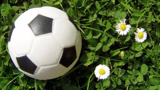 Boiska w Chełmie są, ale piłkarzom wstęp wzbroniony