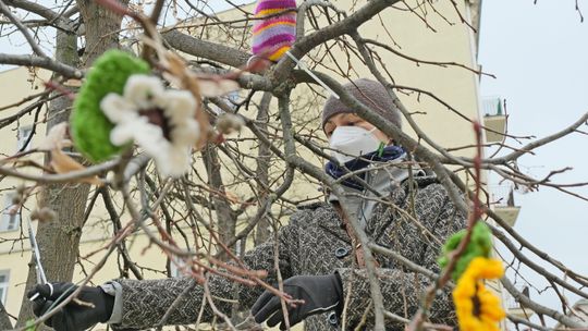 Bombardowanie wiosną. W Lublinie zakwitły włóczkowe kwiatki [zdjęcia]