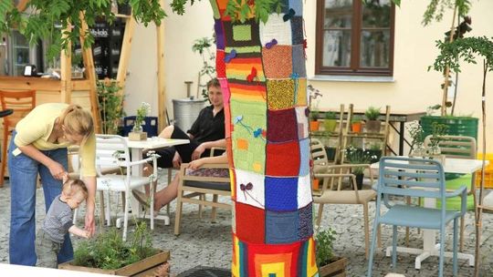 "Bombardowanie włączką" w Lublinie: Drzewa zostały ubrane w swetry