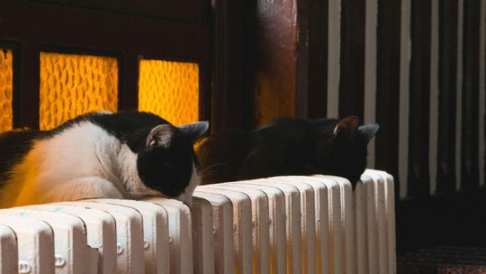 Bon ciepłowniczy i zamrożenie cen prądu do końca roku. Sejm przegłosował