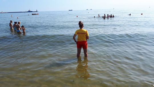 Bon turystyczny z rekordem popularności. Skąd pobrać?