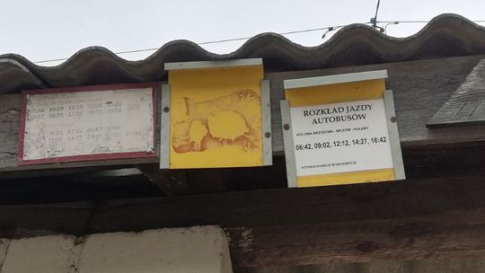 Brak rozkładów jazdy na przystankach. Pasażerowie skarżą się, urząd kontroluje, ale kar brak