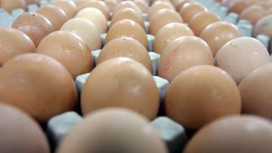 Brakuje jajek na rynku. Ich cena może dojść nawet do złotówki za sztukę
