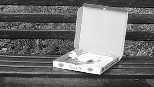 Brat z siostrą okradli dostawcę pizzy