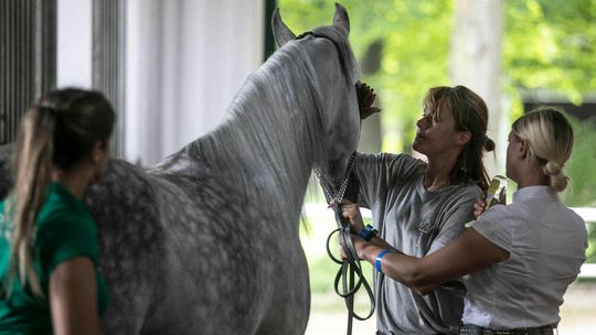 Brodnica, Pustynna Noc... W niedzielę sławna Pride of Poland