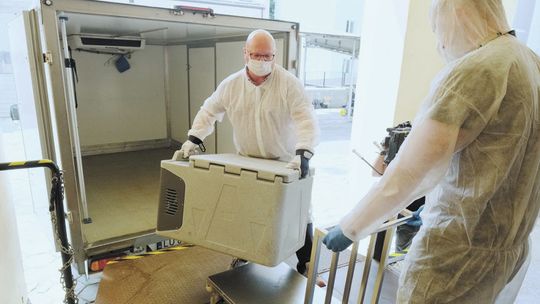 Brudne sztuczki wokół leku na Covid-19 z Lublina