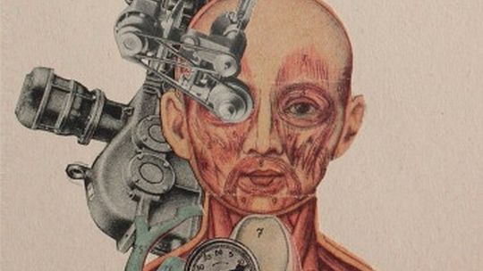 Bruno Larek w Galerii Białej