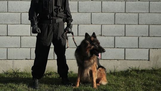 Brutalna napaść na właściciela baru w centrum Lublina. To było dwóch zamaskowanych mężczyzn