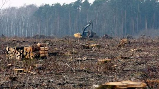 Budowa lotniska w Świdniku: Saperzy skończyli prace (zdjęcia)