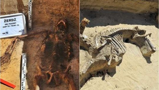 Budowa S17: Pod pomnikiem znaleźli pochówki z okresu powstania styczniowego