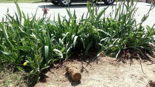 Budował ogrodzenie. Wykopał pocisk 