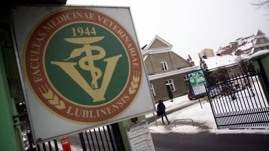 Budowę weterynarii czas zacząć. Koszt to 76 mln zł