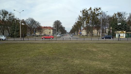 Budżet obywatelski w Chełmie będzie bardziej zielony