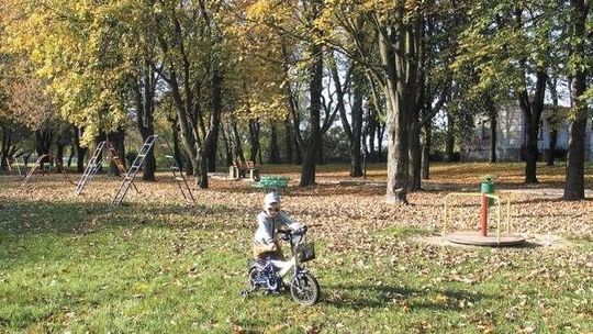 Budżet obywatelski w Chełmie. Lista zwycięskich inwestycji