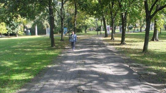 Budżet obywatelski w Chełmie. Na co możesz zagłosować?