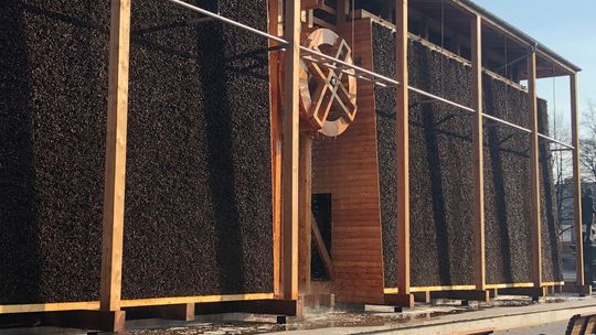 Budżet obywatelski w Łukowie. Mieszkańcy chcą tężni solankowej