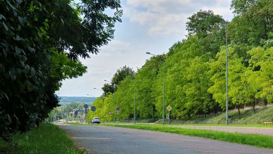Budżet obywatelski w Puławach. Ruszyło głosowanie [lista projektów]