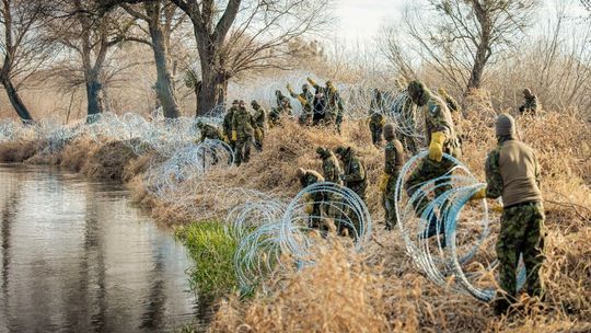 Bug spętany kolczastym drutem. To śmiertelna pułapka dla zwierząt