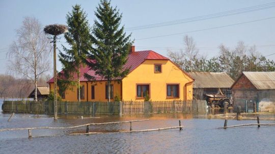 Bug zalewa domy i pola. Fotorelacja Czytelnika