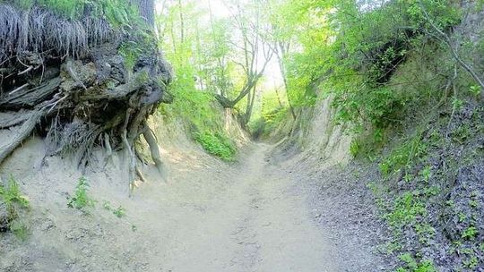 Burmistrz głuchy na protesty ws. wąwozu. "Zniszczone zostanie to, co jest elementem zachwytu"