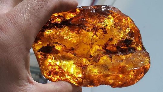 Bursztyn, kastety i sowieckie medale. Wszystko to znaleziono na granicy [zdjęcia]