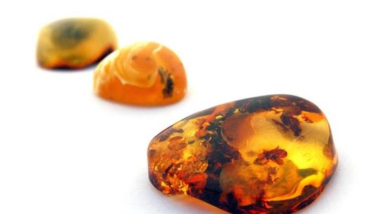 Bursztyn pod Parczewem. Wstępne wyniki poszukiwań do końca roku