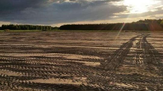 Bursztynowa gorączka wcale nie minęła. Trwają odwierty w Lubelskiem