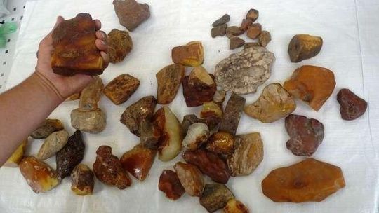 Bursztyny zostały w Zosinie. Przemyt warty 30 tys. zł.