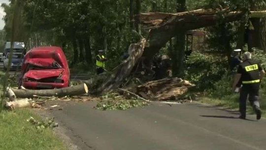 Burza nad Polską. W Zgierzu konar drzewa zabił kierowcę (wideo)