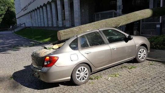 Burza w Lublinie: Połamane drzewa i zalane budynki. 150 zgłoszeń do straży (zdjęcia)