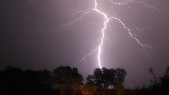 Burze i grad w woj. lubelskim: Złamane drzewa, zalane piwnice (zdjęcia)