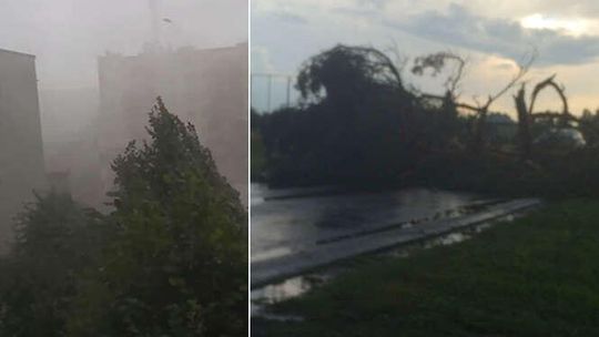 Burze i nawałnice w woj. lubelskim. Uszkodzone dachy, połamane drzewa