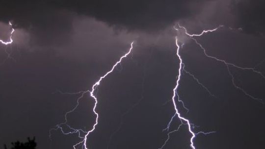 Burze nad województwem. Pożary i powalone drzewa