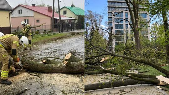 Burze, przewrócone drzewa, jeden ranny. 575 interwencji straży pożarnej
