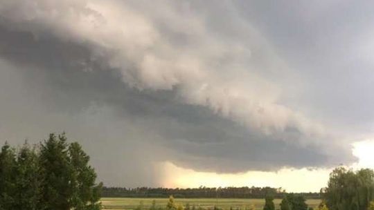 Burze w Lubelskiem: Zerwane dachy, połamane drzewa