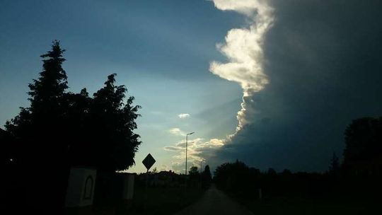 Burze: W woj. lubelskim bez większych szkód