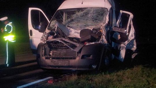 Bus przewożący pracowników zderzył się z łosiem