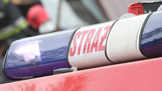 Byk utknął w szambie. Strażacy wyciągnęli zwierzę