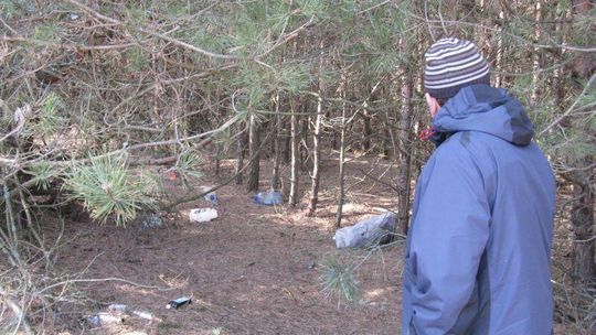 Był las, jest śmietnik: Jakie kary dla brudasów?