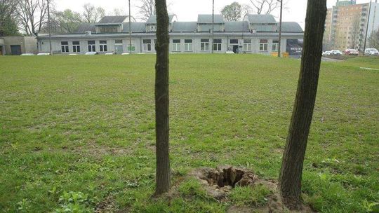 Był parking, jest trawnik, będą grządki. Pod Galerią Labirynt