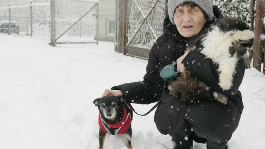 Była nauczycielka historii w sobotę straci dach nad głową. Może ktoś się zlituje