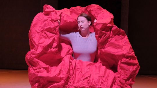 Byliśmy w Tajemniczym Ogrodzie. Zdjęcia z nowego spektaklu w teatrze Andersena