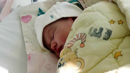 Było 500, PiS dodaje 300, będzie 800 plus na dziecko. A rodzi się ich coraz mniej