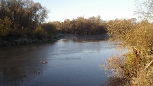 Było ciepło, więc postanowił wykąpać się w Bugu