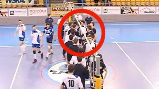 Były siatkarz Avii Świdnik pobił się z rywalem po meczu w Gorzowie (wideo)